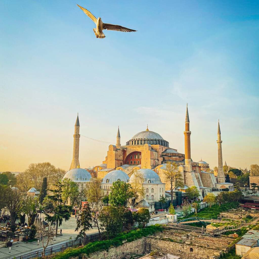 Upgrade to a Suite for Groups